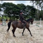 Explorando o Mundo da Equitação e do Hipismo: Uma Jornada Rumo a Excelência