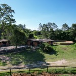 Haras: O Encanto da Criação Equina